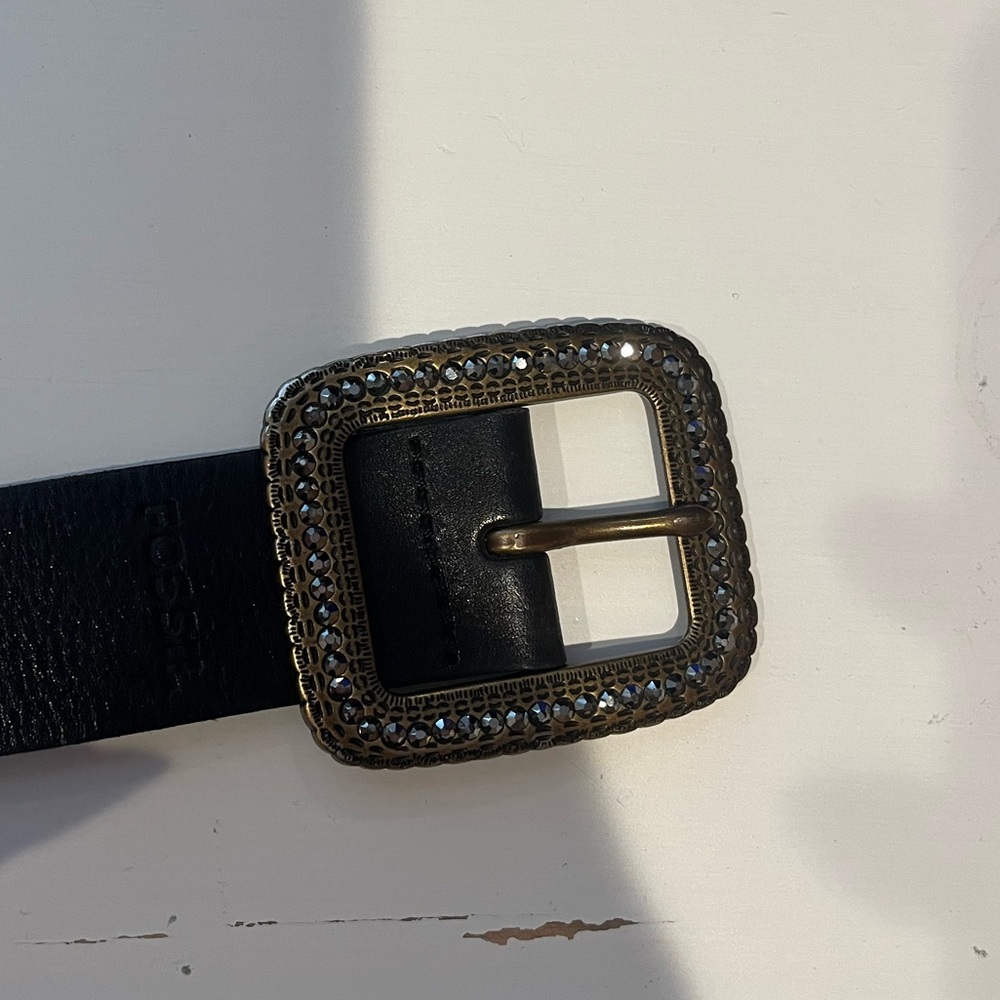 Fossil belt